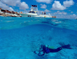Ending Dive in Bonaire by Ernst Schilling 